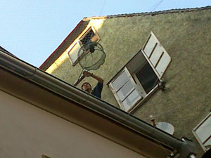 taube2 Taube im Köcher