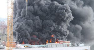 Leiner Brand,