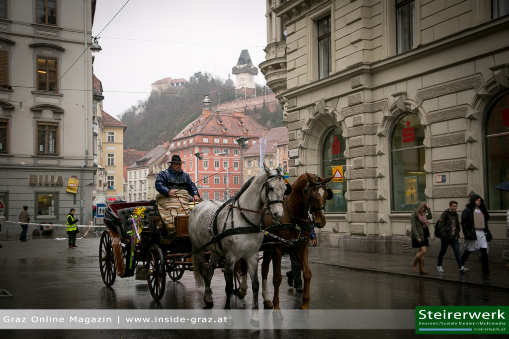 Kutsche Pferde Faschingsumzug Graz