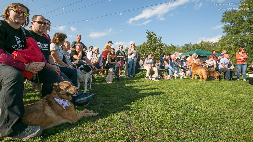 Grazer Hundefest