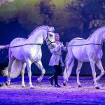 Cavalluna Welt der Fantasie Pferde Graz