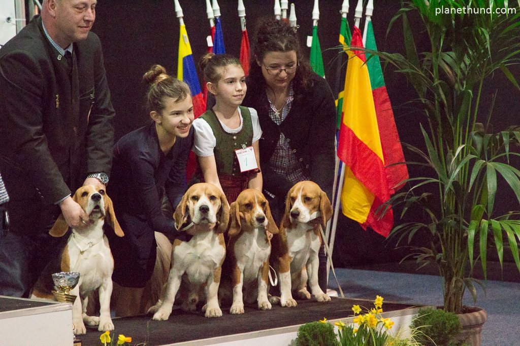 IHA Graz Beagle