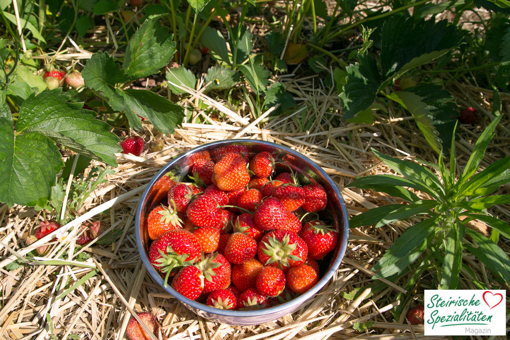 frische rote Erdbeeren
