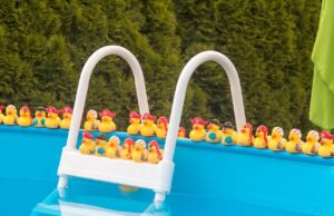 Pool im Garten