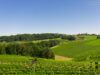 Südsteiermark Ausflug
