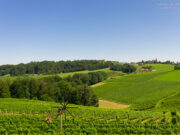 Südsteiermark Ausflug