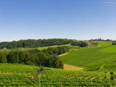 Südsteiermark Ausflug