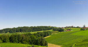 Südsteiermark Ausflug