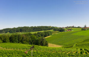 Südsteiermark Ausflug