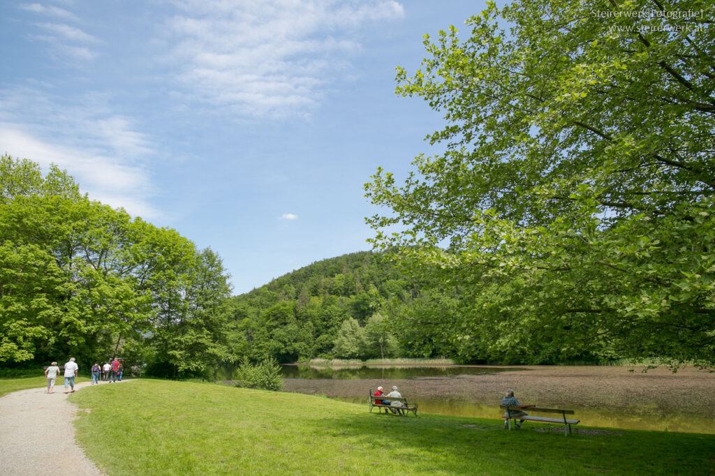 Tretbootvermietung am Thalersee