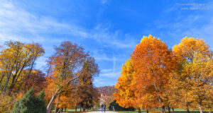 Schloss Eggenberg Park