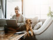 Home Office mit Hund Tipps
