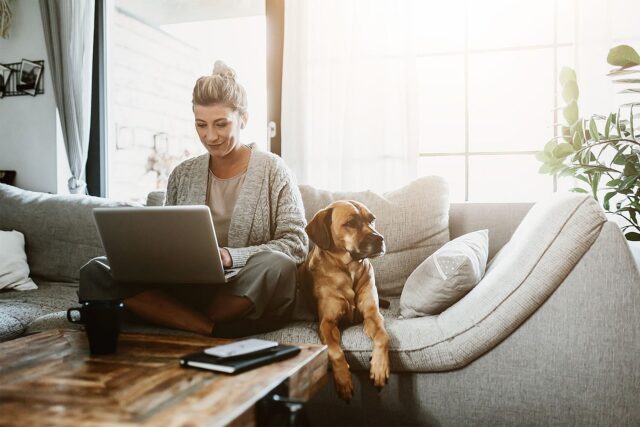 Home Office mit Hund Tipps