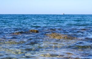 Tipps rund ums Reisen im Sommer 2022 Urlaub & Reise 2021