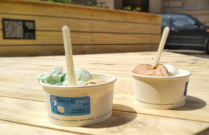 Harrys Icecream