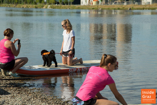 SUP mit Hund bei den River Days