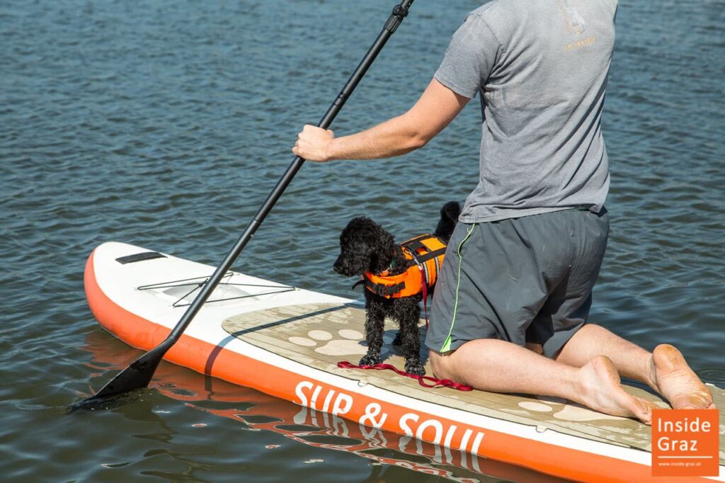 SUP Board mit Hund