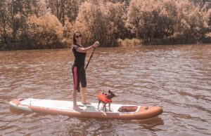SUP mit Hund