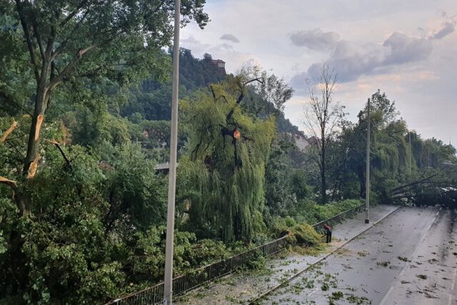 Unwetter entwurzelte Bäume in Graz