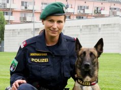 Polizeidiensthund Fly Spirit of Graz