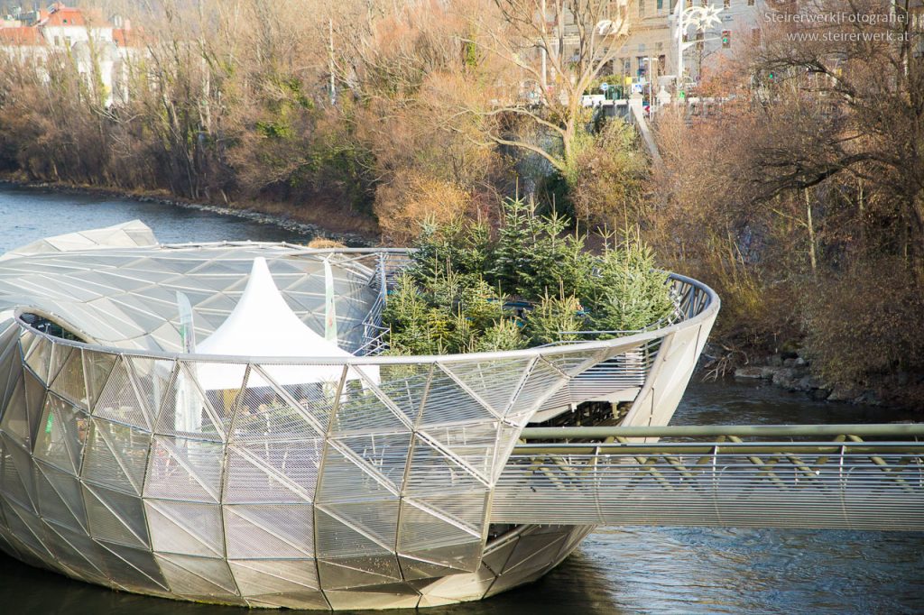 Christbäume auf der Murinsel kaufen