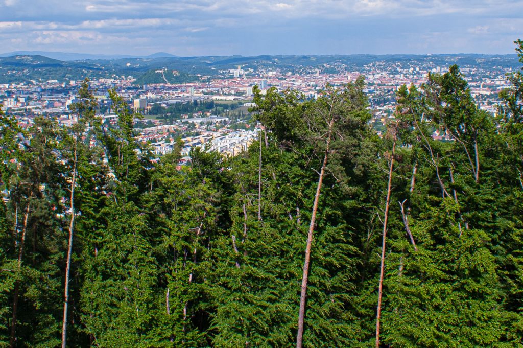 Wald um Graz