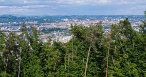 Wald um Graz