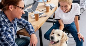 Büro Kollegen mit Hund