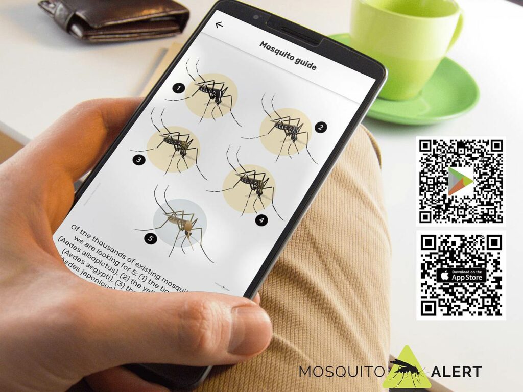 Mosquito Alert App