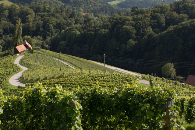 Grenzübergang Südsteiermark