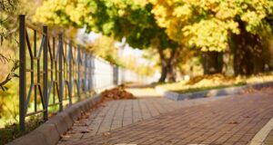 Radfahren im Herbst
