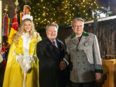 Illuminierung Weihnachtsbaum Wiener Rathausplatz