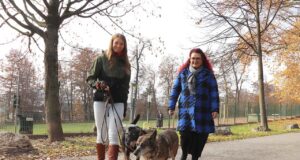 Hundetrainerin Rosenhain