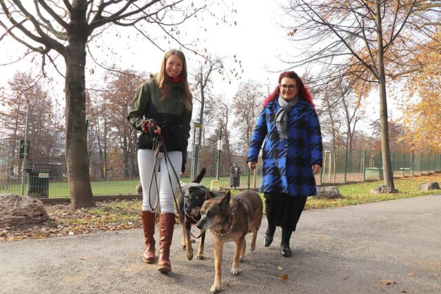 Hundetrainerin Rosenhain