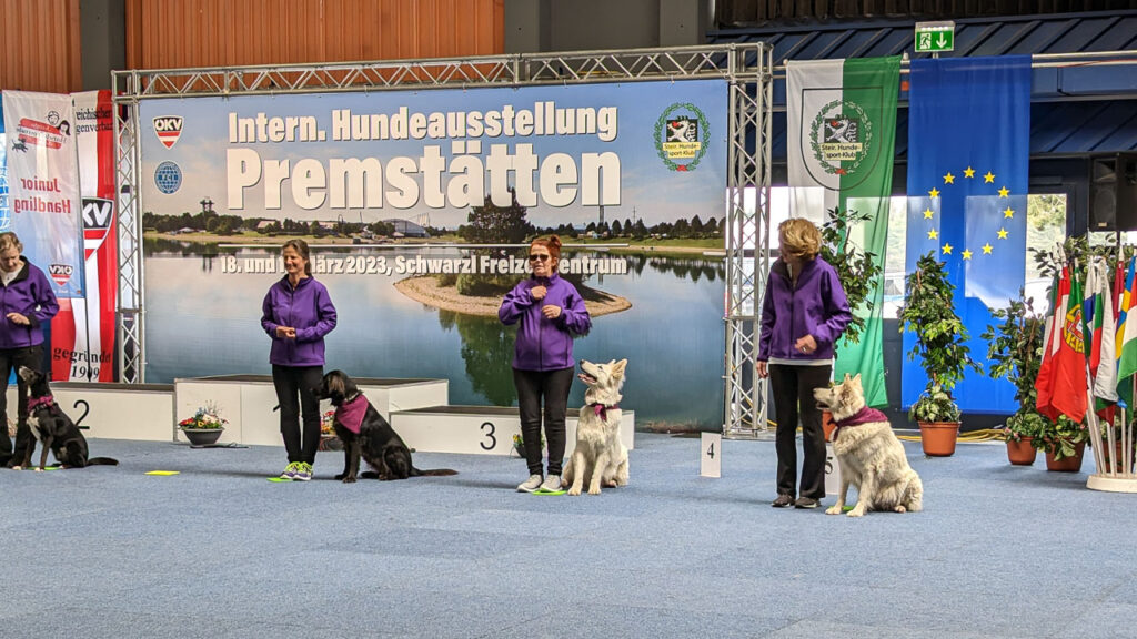 Dogdance Hundeschau