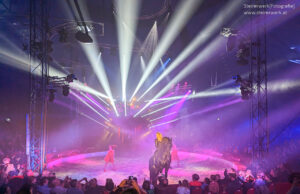 Circus Louis Knie Pferd