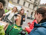 Grazer Krauthäuptel wird verteilt