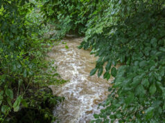 Bach führt Hochwasser