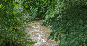 Bach führt Hochwasser
