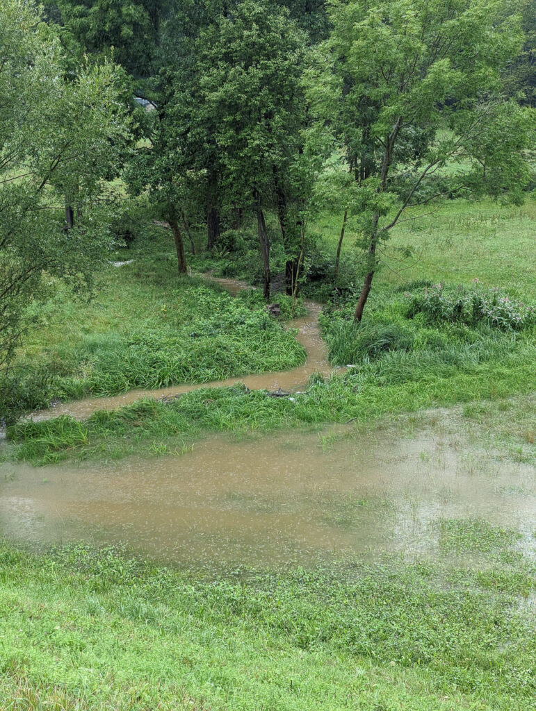 Bründlbach Rückhaltebecken Krottendorfer Straße