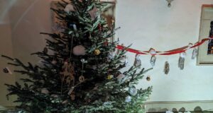 Steirischer Christbaum Schulwettbewerb