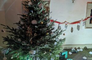 Steirischer Christbaum Schulwettbewerb