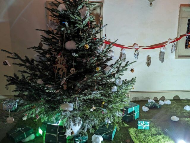 Steirischer Christbaum Schulwettbewerb