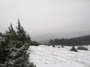 Wandern Schöckl Schneefall