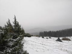 Wandern Schöckl Schneefall