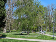 Sommer im Stadtpark