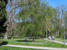 Sommer im Stadtpark