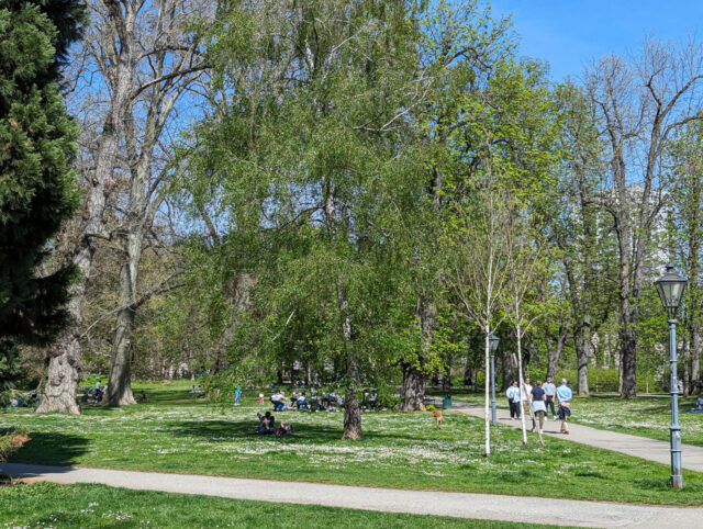 Sommer im Stadtpark