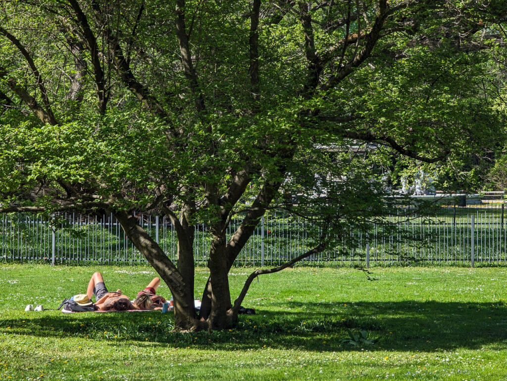 Entspannen im Stadtpark im Schatten