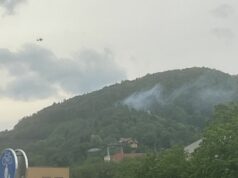 Waldbrand Buchkogel